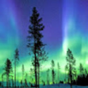 Meet your Posher, Felicito